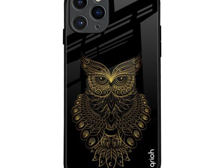 Golden Owl Glass Case for iPhone 11 Pro Hot on Sale